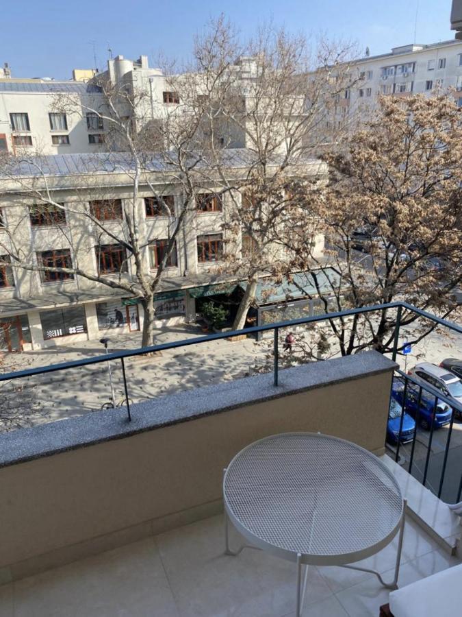 Luxury Center - Amzei Romana Apartment